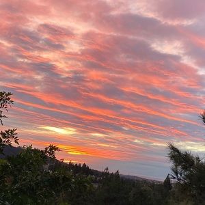 Meet your Posher, Makinsy